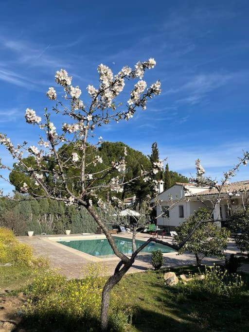 Casa Galiana. Vila Argés Exterior foto